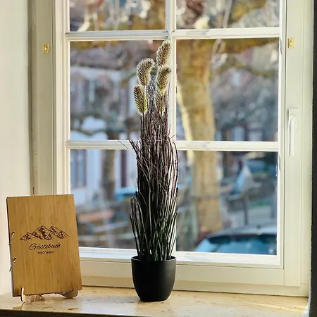 Niro I Altstadt Design Apartment, Lage, Zentrum, Modern Gemuetlich, Tv Apartament *
