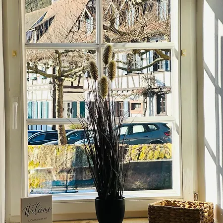 Niro I Altstadt Design Apartment, Lage, Zentrum, Modern Gemuetlich, Tv Apartament Weinheim
