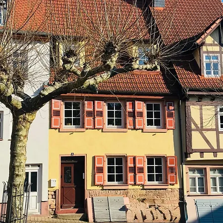 Niro I Altstadt Design Apartment, Lage, Zentrum, Modern Gemuetlich, Tv